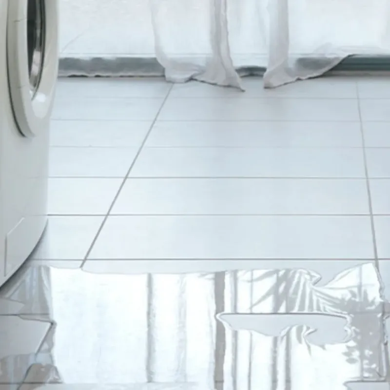Appliance Leak Cleanup in Gresham, OR